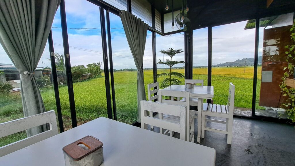 Cafe interior with white chairs and tables beside tall glass windows and curtains, looking out over a golden-green rice field
